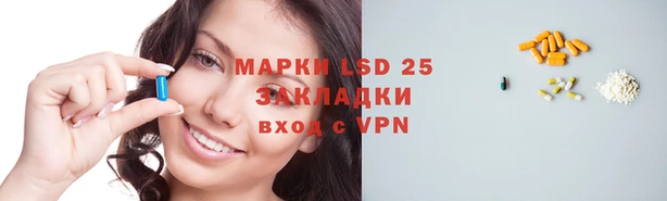 спиды Заводоуковск