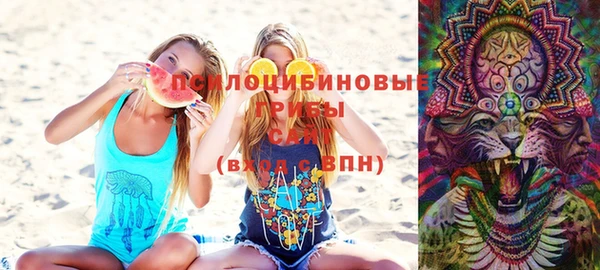 спиды Заводоуковск