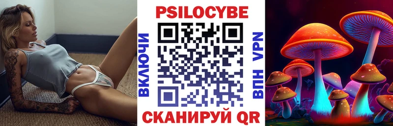 Купить  Хвалынск  Псилоцибиновые грибы прущие грибы 