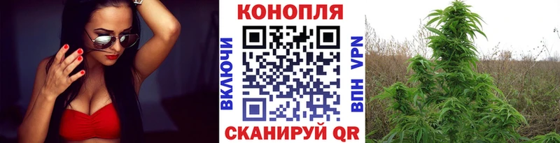 Каннабис Amnesia  Купить закладки  Хвалынск 